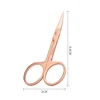 1Pcs Eyebrow Trimming Scissors Nose Hair Scissors Stainless Steel Small Nail Tool Makeup Trimmer Facial Hair Remover Beauty Tool 4