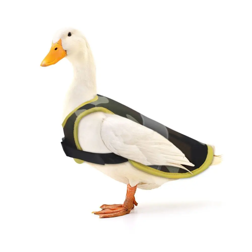 Hen Reflective Vest, Poultry Chicken Hen Saddle Apron Feather Protection Holder for Chicken Geese Duck