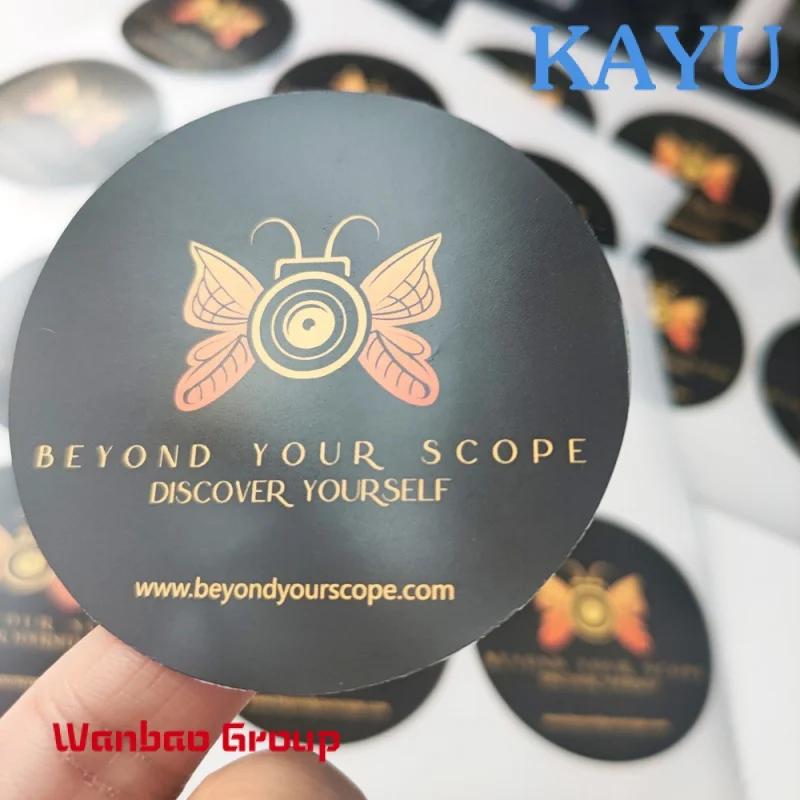 Рисунок 5 - Пользовательский логотип