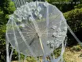 White f LED1