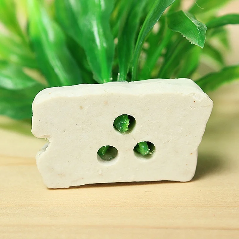 Plastic Non-toxic Simulation Aquatic Grass Artificial Plant Aquarium Landscape Plants Fish Hiding Fish Tank Decoration artificial plants,fish tank ornaments,fish tank decorations,aquarium ornaments,artificial aquarium plants,mini landscape ornaments