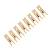 100pcs Wooden Clip Clothes Pants Drying Photo Fixing DIY Mini Wooden Clip Clamps Assorted Set 1
