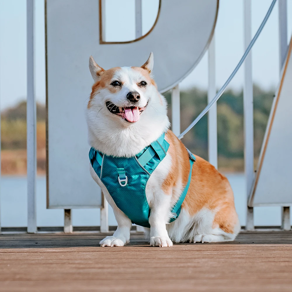 Harnesses Vest Pet Reflective Nylon Walking Running - PeticaDeals