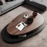 Table basse nordique avancée, luxe italien, originalité, salon, Designers, meubles de maison en bois, Salontafel FYCT 2