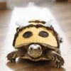 Cute Handmade Turtle Sweater Warm Decorative Turtle Cosplay Costume Bee Shape Knitted Pet Tortoise Clothes Cosplay Event
