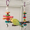 1 pc Random Color Wood Beads Hanging Bird Bite Skewers Toys Interactive Chew Teeth Toys with Bell for Pet Parrot Cage Decoration 1