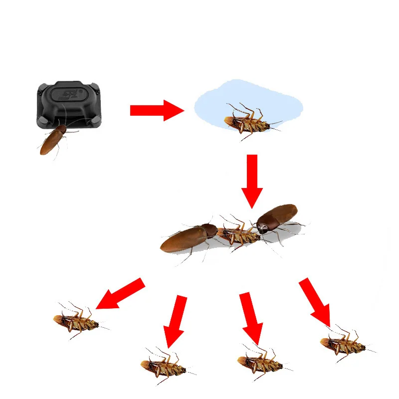 10pc/lot Gel Cockroach Bait for Home Insect Control