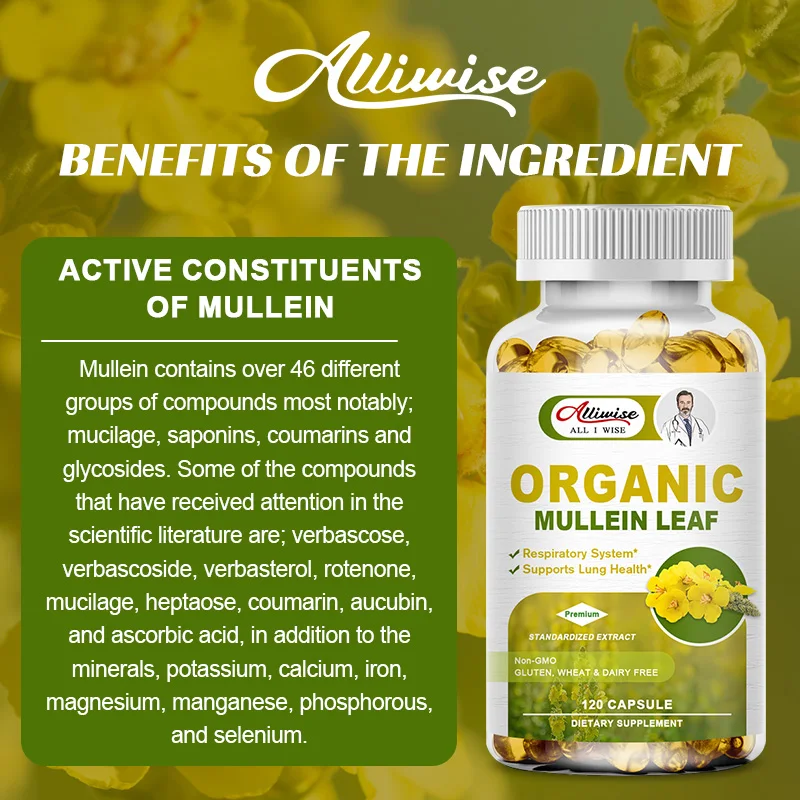 Herbal Plant Mullein Capsules Clean Lungs Protect Respiratory System Clear Heat Mucous Membranes Lung Cleanse mullein leaf extract lung detox capsules