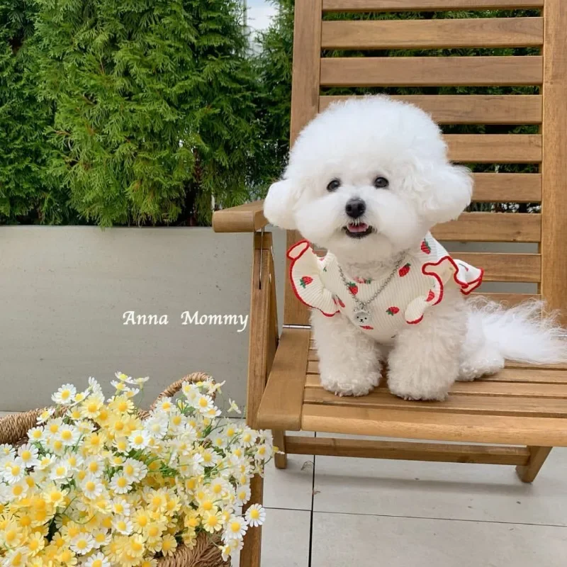 Cute Lace Strawberry Dogs Clothes Skirt Pet Teddy Summer Clothes Schoner Breathable Clothes Puppy Fruit Vest Dog Accessories