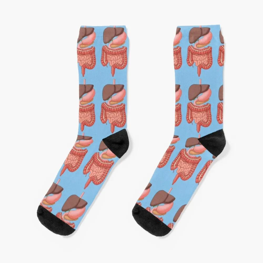 Digestive System Organs, Medical Illustration Socks Toe sports colored Novelties Socks For Girls Men's