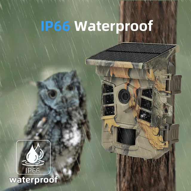 Hunting Game Camera 0.3s Trigger Time IP66 Waterproof 1080p Trail Camera with Solar Powered WiFi Connect Function 5