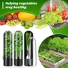 1 Pack Fresh Herb Preservation Bottle Herb Vegetable Preservation Bottle Herb Fresh Storage Container Kitchen Gadget 1