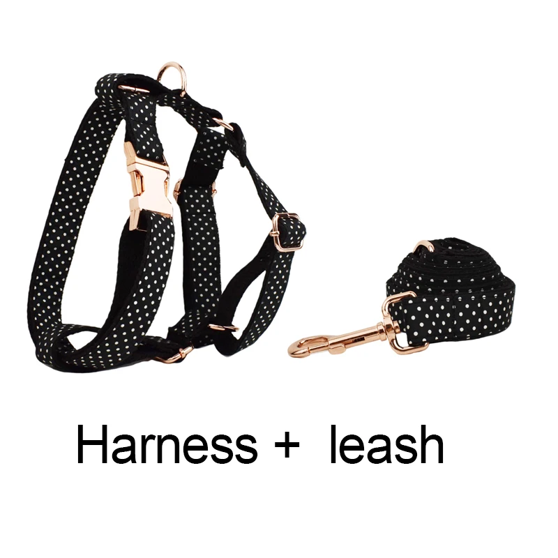 Harness leash