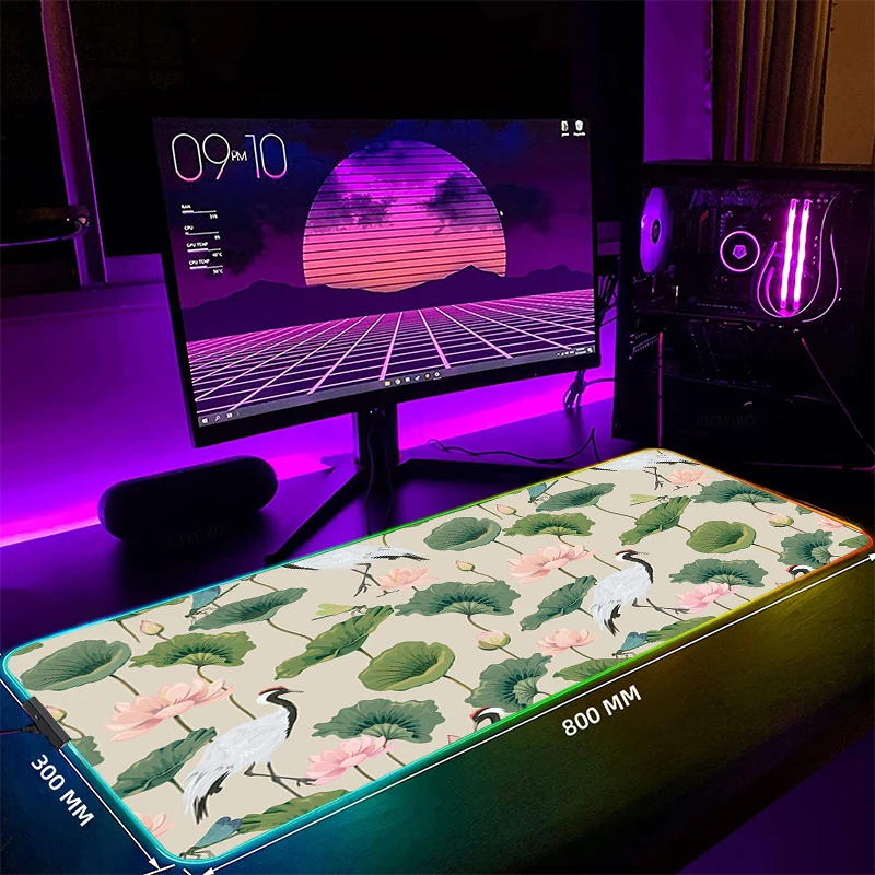 

Crane LED Gaming Mousepads Large Backlight Desk Mat 39.3x19.6in Gamer Mousepad RGB Mouse Pad Luminous Mouse Mat