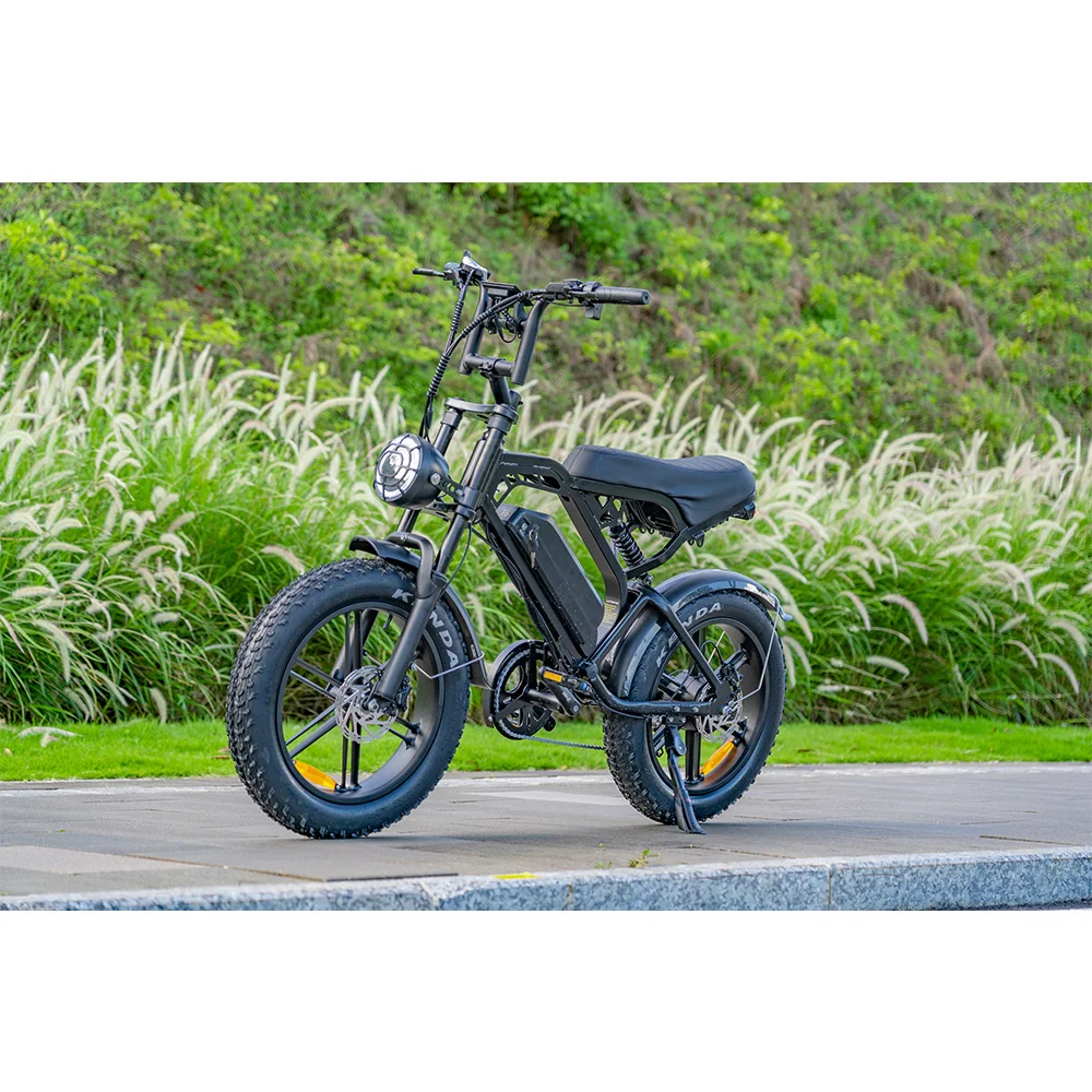 V20 Pro 電動自転車 500W モーター、20 インチファットタイヤ