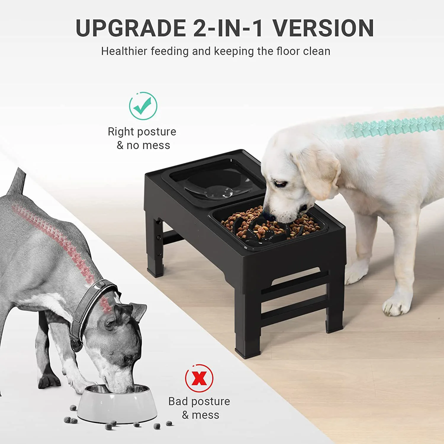 2-in-1 Elevated Raised Dog Bowl