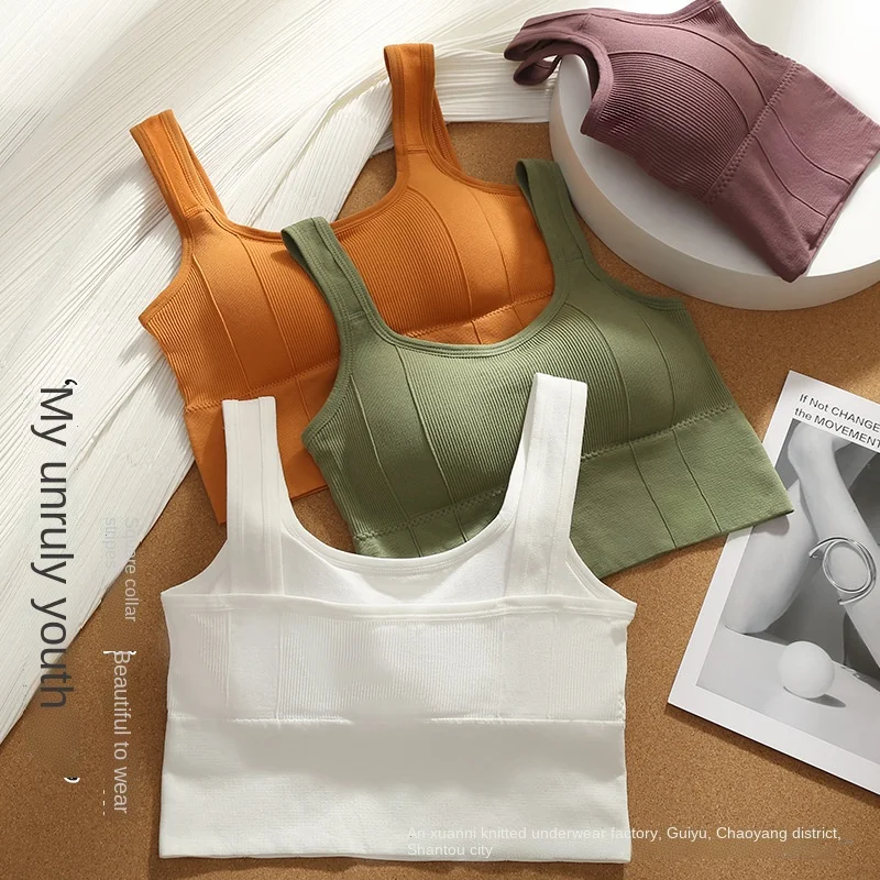 Women's Cotton Underwear Tube Tops Sexy Solid Color Top Girls Fashion Push  Up Bra New V-Neck Tank Up Female Lingerie - AliExpress