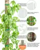 Garden Subject Plants Moss Pole Flower Plant Climbers Bonsai Accessories Pots Tutors ,for Planters Plants Growth Holder Support 6