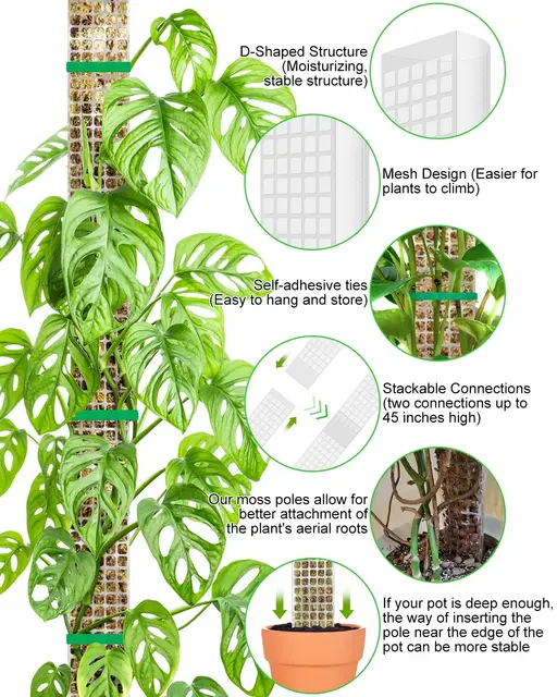 Garden Subject Plants Moss Pole Flower Plant Climbers Bonsai Accessories Pots Tutors ,for Planters Plants Growth Holder Support 6