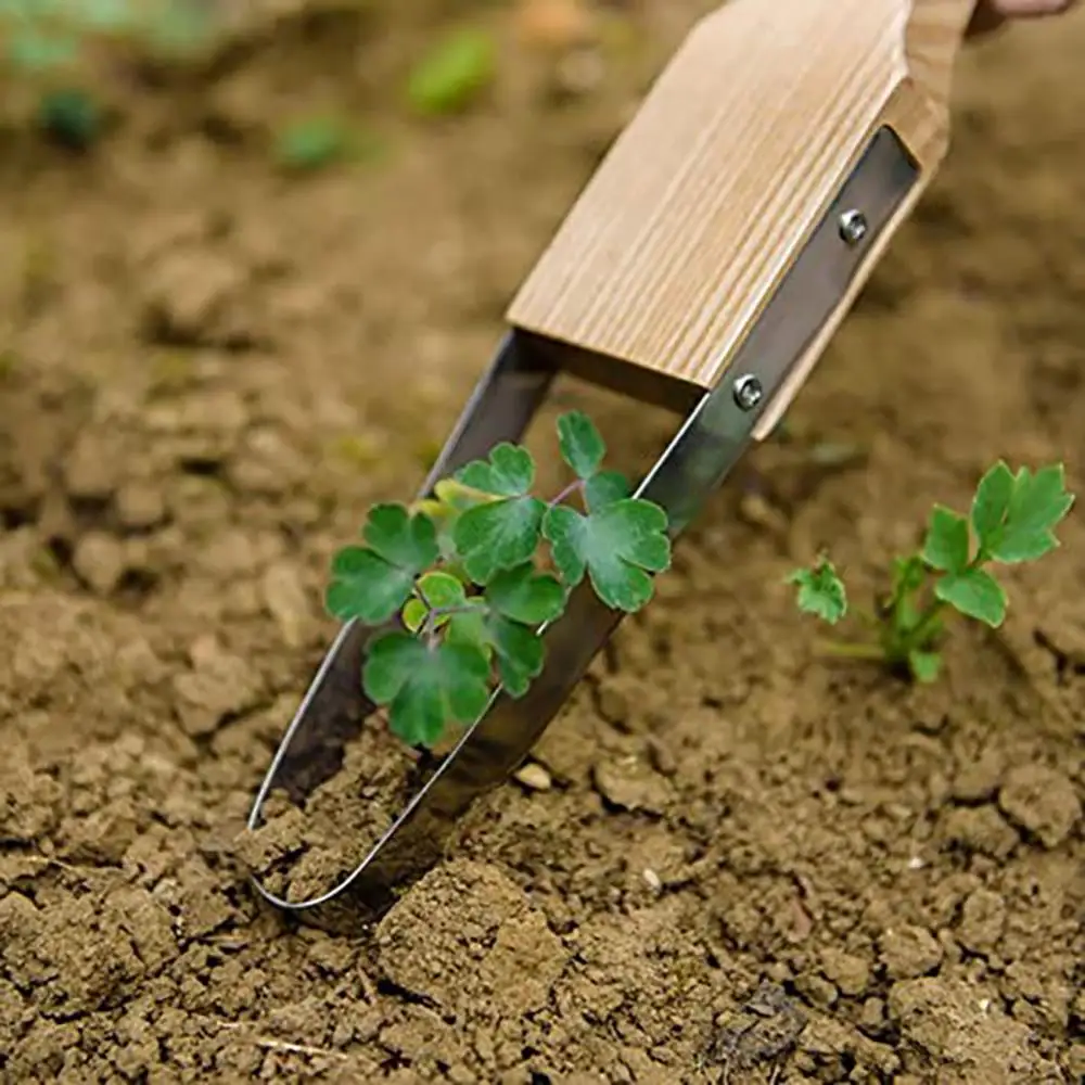 �ö�ƽ ������ ���� ���� ���� ����, �ö�ƽ ������ ��, �ٸ��� ���� ���� Ŀ��, �ܵ� Ǯ��, ���� ����