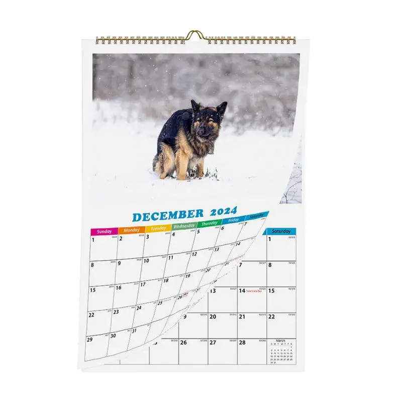 

Funny Dog Pooping Calendar Dogs 2024 Hangable Monthly Wall Calendar Pooping Dog In Beautiful Places Thick & Sturdy Paper