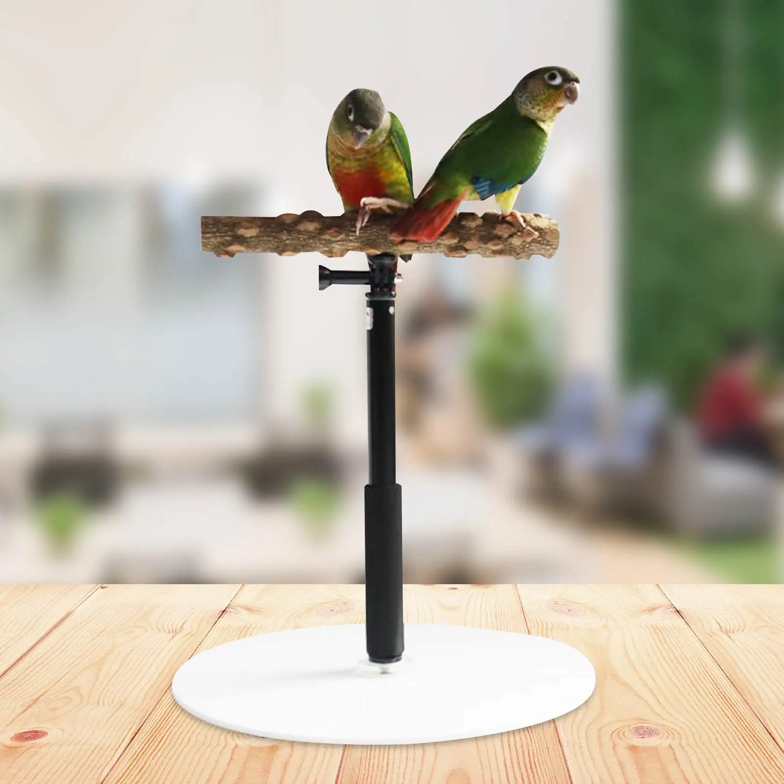 Papagaio Carrinho De Mesa De Madeira Suporte De Jogo De Mesa Para Pássaros  Ajustável Parrot Treinamento Carrinho Brinquedos Portátil Poleiro Retrátil  - Acessórios Para Pássaros - AliExpress