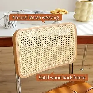 morden leather rattan side accent chairs dining chair set of 2 with chrome legs 