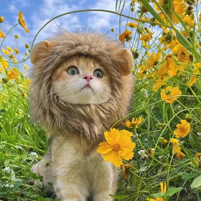 Realistic Lion Mane Pet Costume