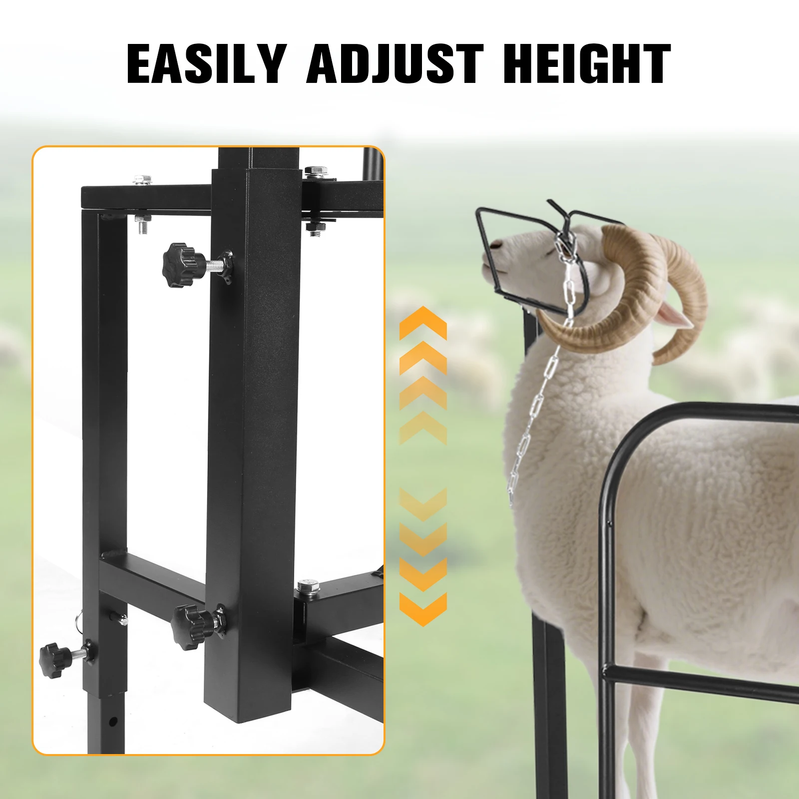 Sheep Stand Adjustable Height 20.5in To 31.5in Metal Livestock Trimming Stand with Headpiece and Nose Loop for Goats and Lambs