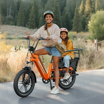 Electric Cargo E-Bike 1