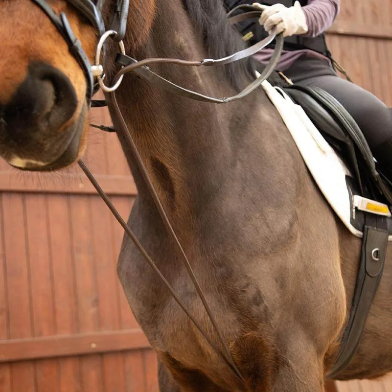 소가죽 고삐, 고삐, 마구, 승마 용품