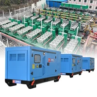 Groupe électrogène diesel silencieux personnalisé de 50 kW, station d'alimentation portable insonorisée pour la maison, le camping, la construction, énergie de secours 6