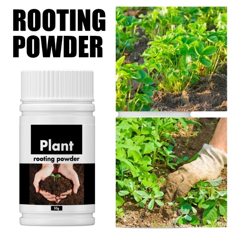 Rapid rooting powder fast rooting powder for extra fast root plant flower transplant fertilizer plant grow improve survi