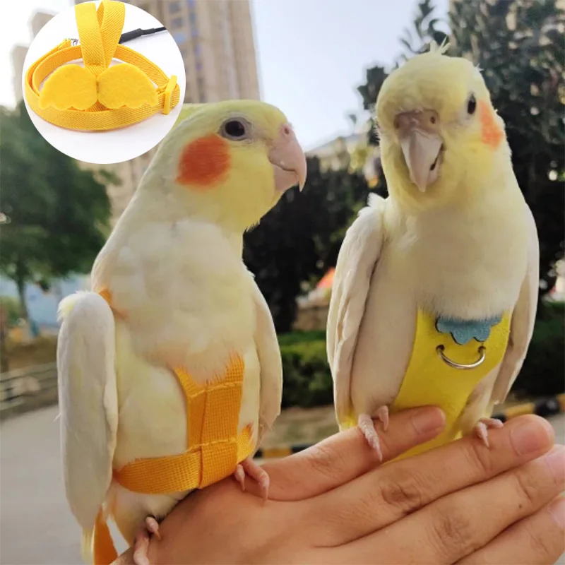 Harma For Parrot Birds Harness Macaw Harness Leash Bird Strip For Parrot Budgie Harness NXLYP01_voghion.com