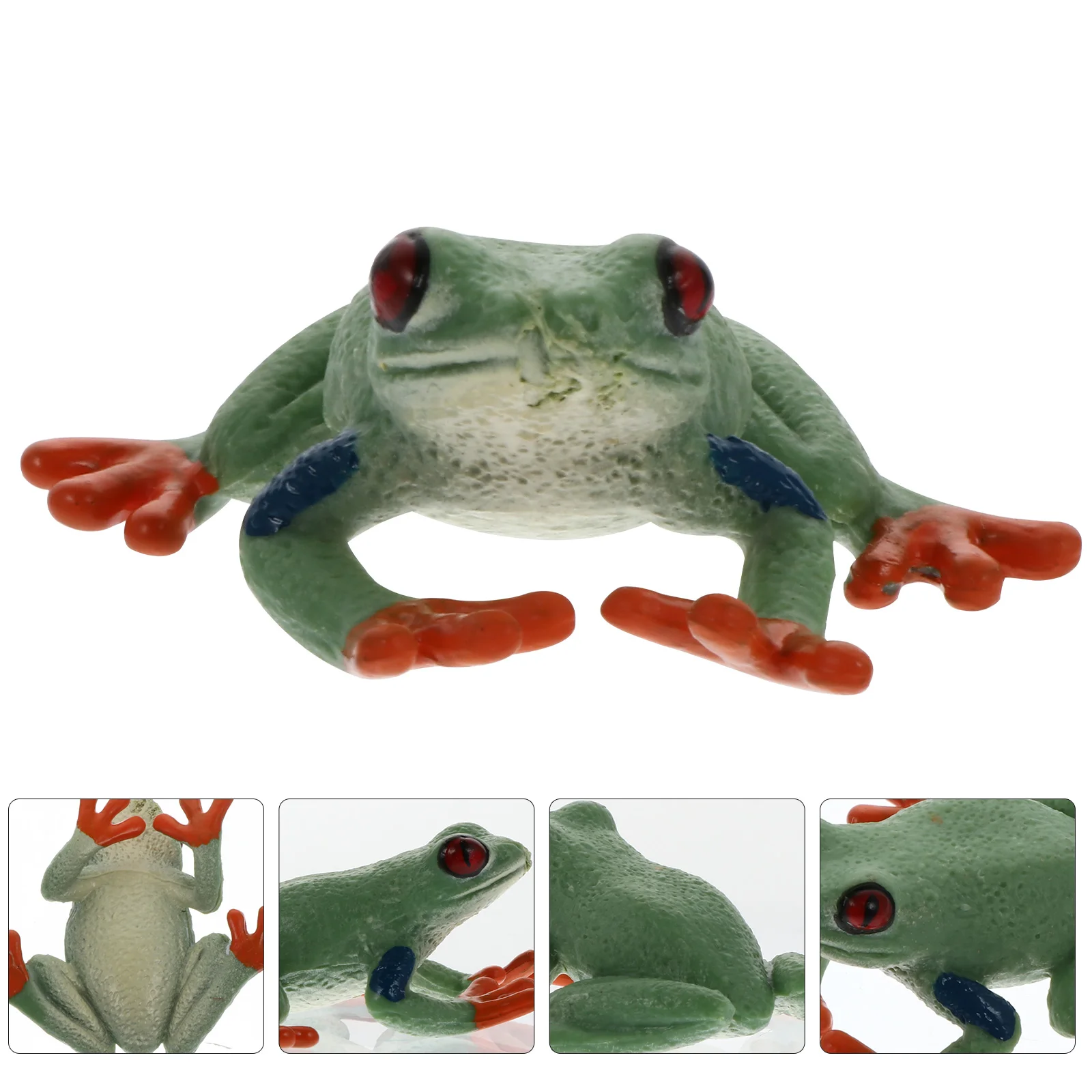 

Frog Model Educational Toy Animal Display Models Kids Mini Supplies Childrens Toys