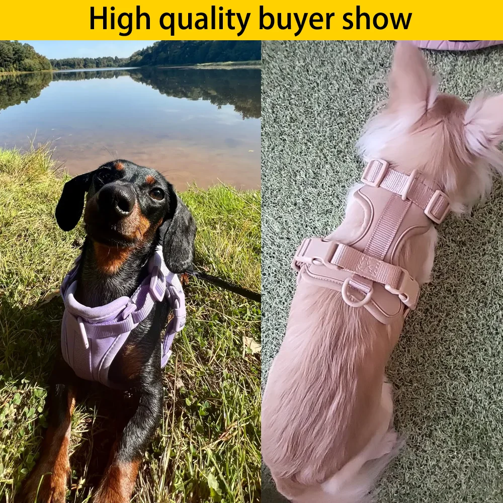 Double Dog Leash PVC Comfortable Dog Harness Adjustable Chest Strap Three-Piece Set Collars-f-Harnesses & Leashes Suit
