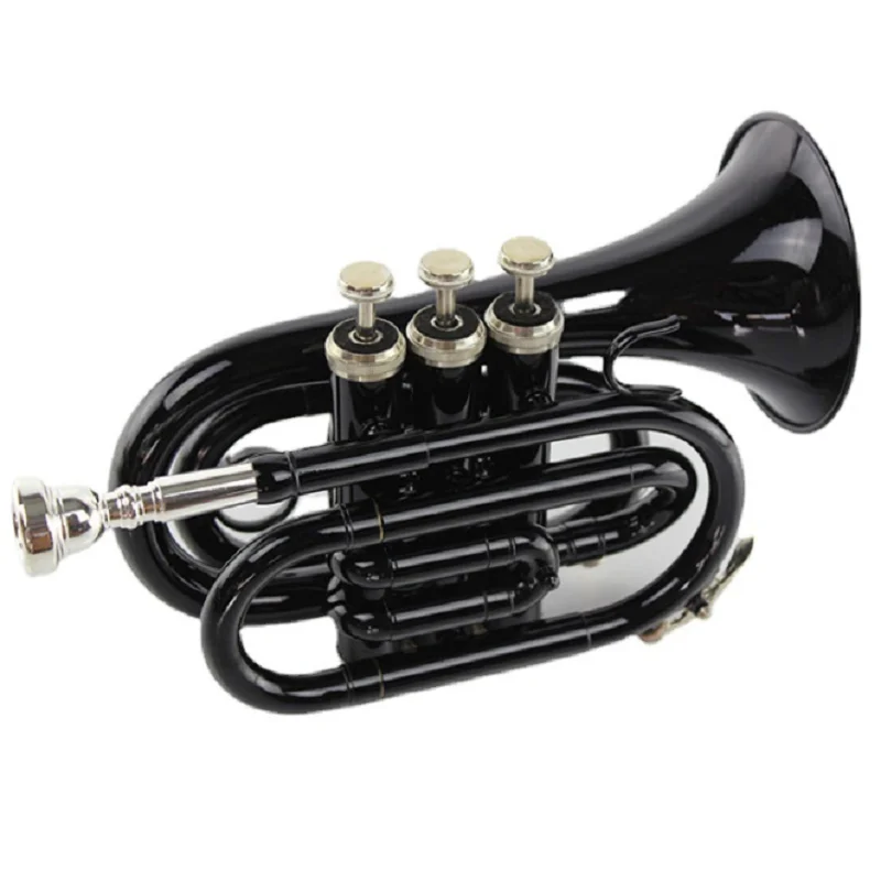 Beginner Western Wind Instrument, B Flat Pocket, Black Palm Instrument