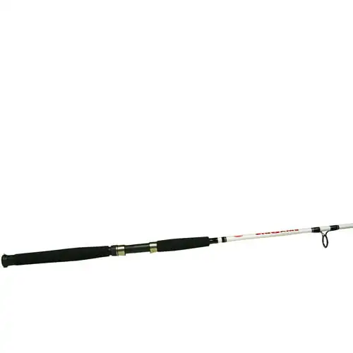 Big Spinning Rod, Two Piece Surf Rod