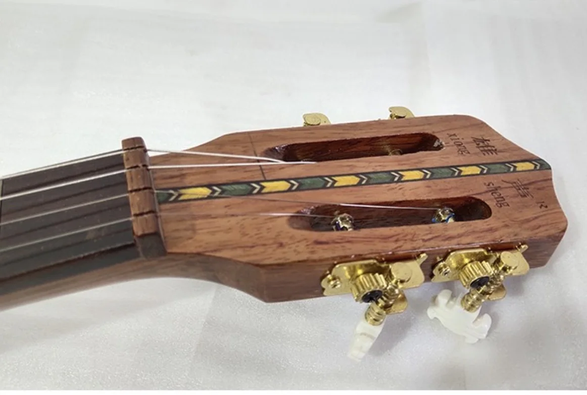 Qinqin semitone Twelve equal law 19 grades Chinese national plucked string instrument