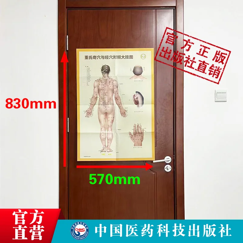 Dong'S Qi Acupoint And Meridian Comparison 3 Large Wall Charts, 570*830mm, Chinese Edition 3