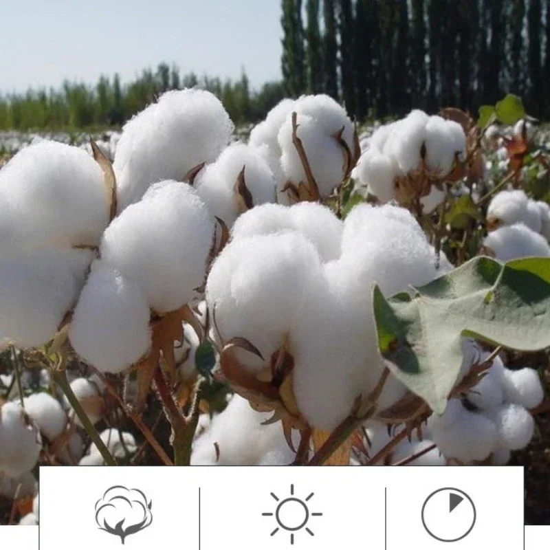 Extra-Large Cotton Bath Towels 3