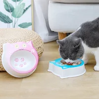 Pet Feeder Cat Food Bowl  Drink Fountain Cat Feeding Water Bowl Cutlery Food Container Melamine Drip Tray Accessories