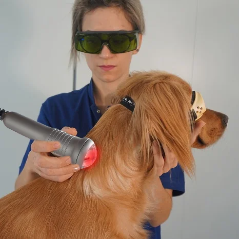 

Medical equipment 980nm diode laser veterinary treatment laser cold pain wound healing veterinary laser physiotherapy