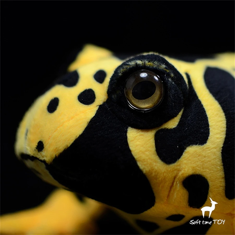 Poison Dart Frog Plush Toy High Fidelity Poison Arrow Frog Plushie Poison Frogs Peluche Lifelike Stuffed Animals Simulation Doll 5