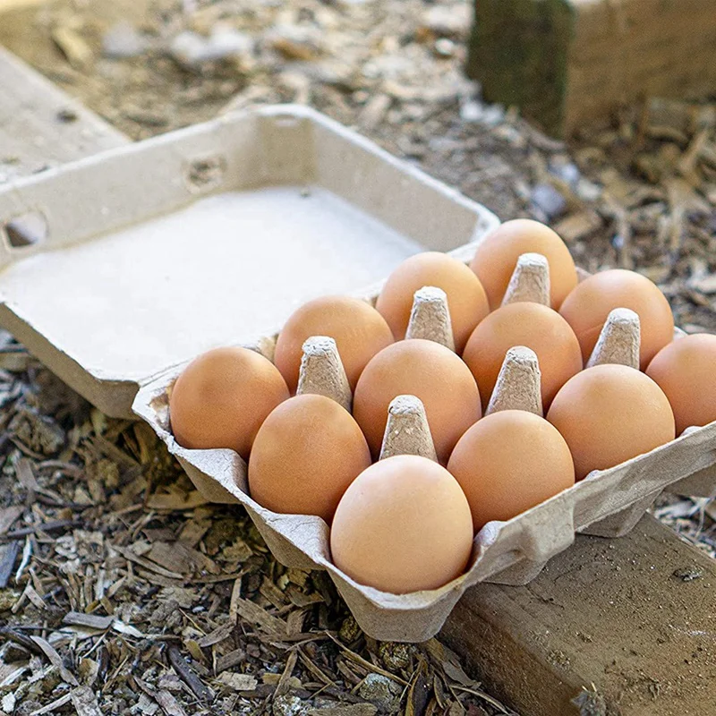  Vintage 3x4 Style Egg Cartons (30 PACK), Holds 12 Large Eggs, Eco-Friendly Material