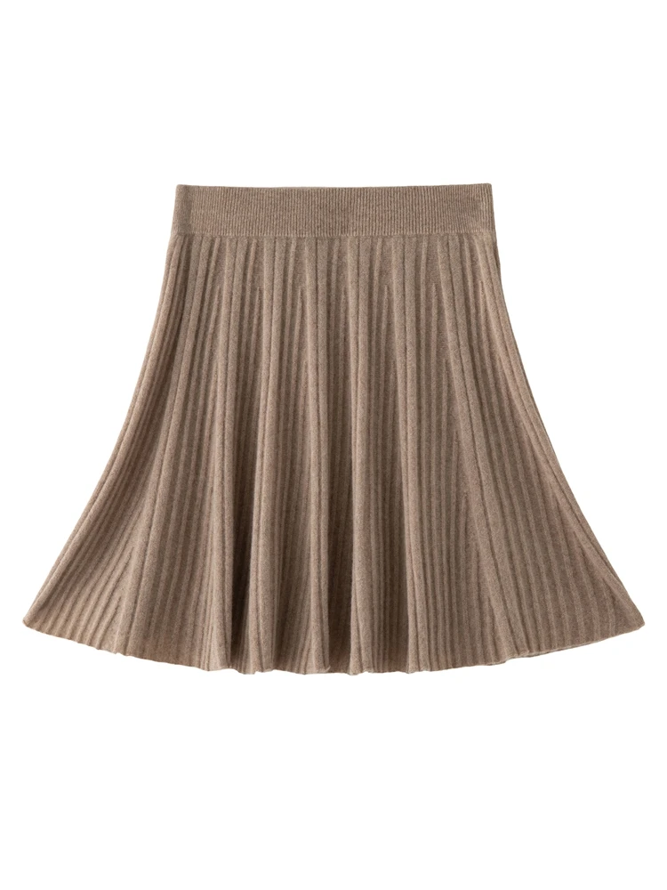 Skirt outfit combination 17