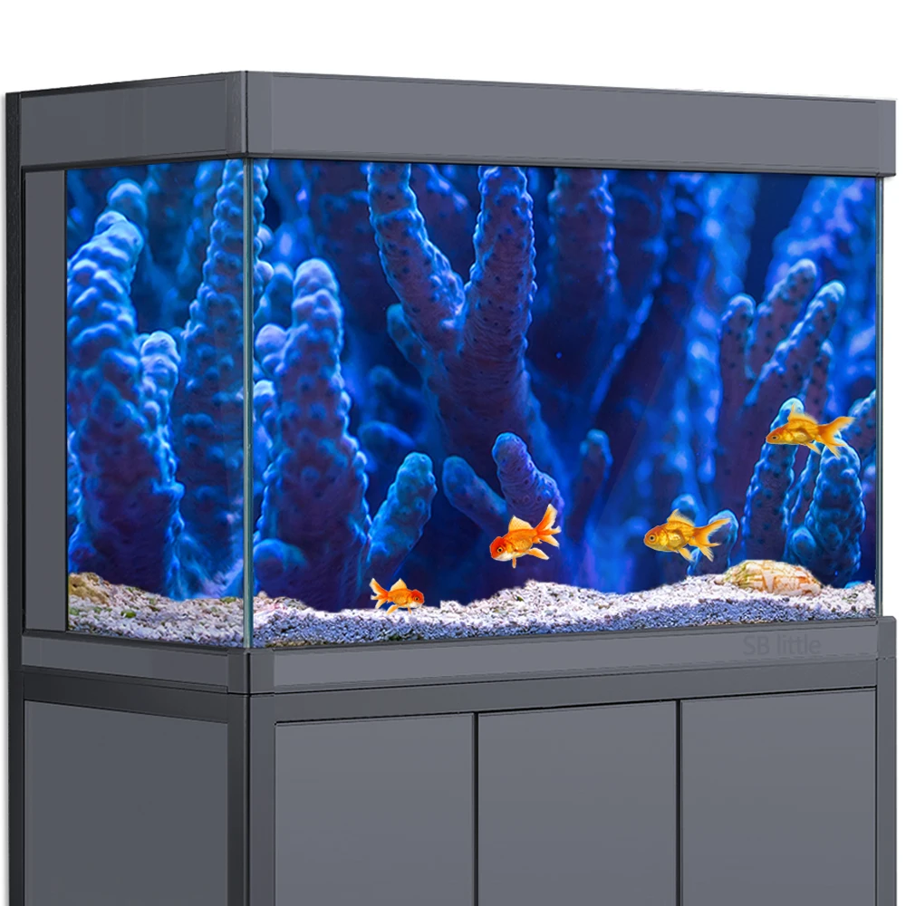 Aquarium Background 3d Blue Coral Decorates Ocean Hd Printing