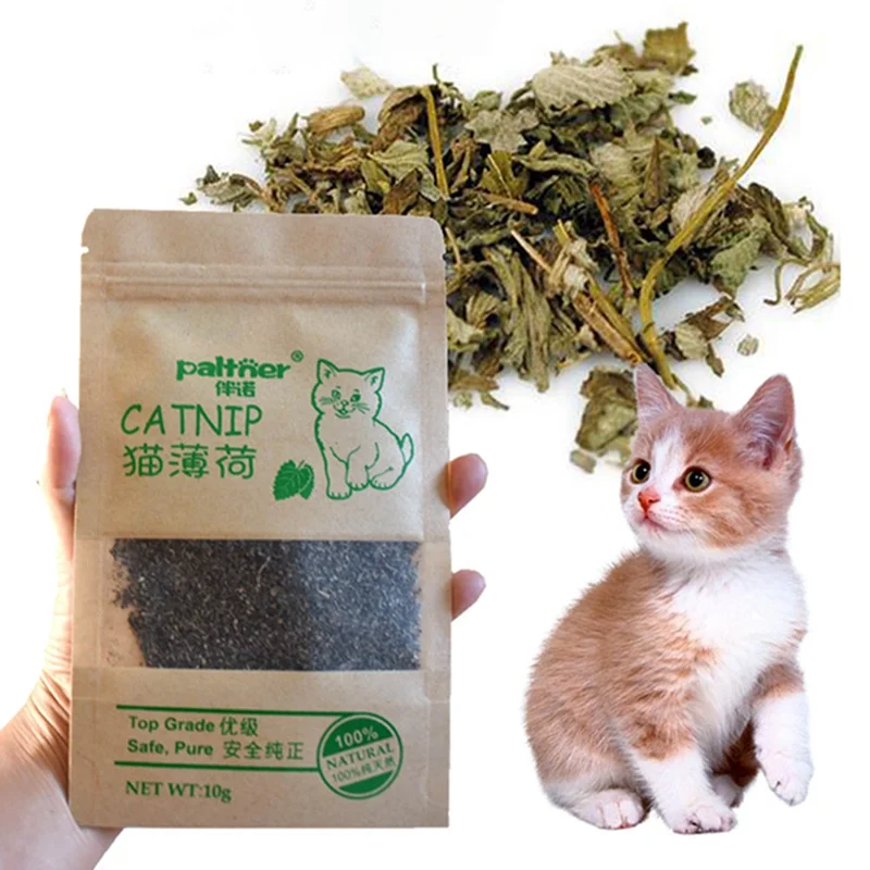 New Organic 100% Natural Cat Catnip Cattle Grass 10g Cat Mint Leaves Menthol Flavor Funny Cat Training Toy Cats Supplies images - 6