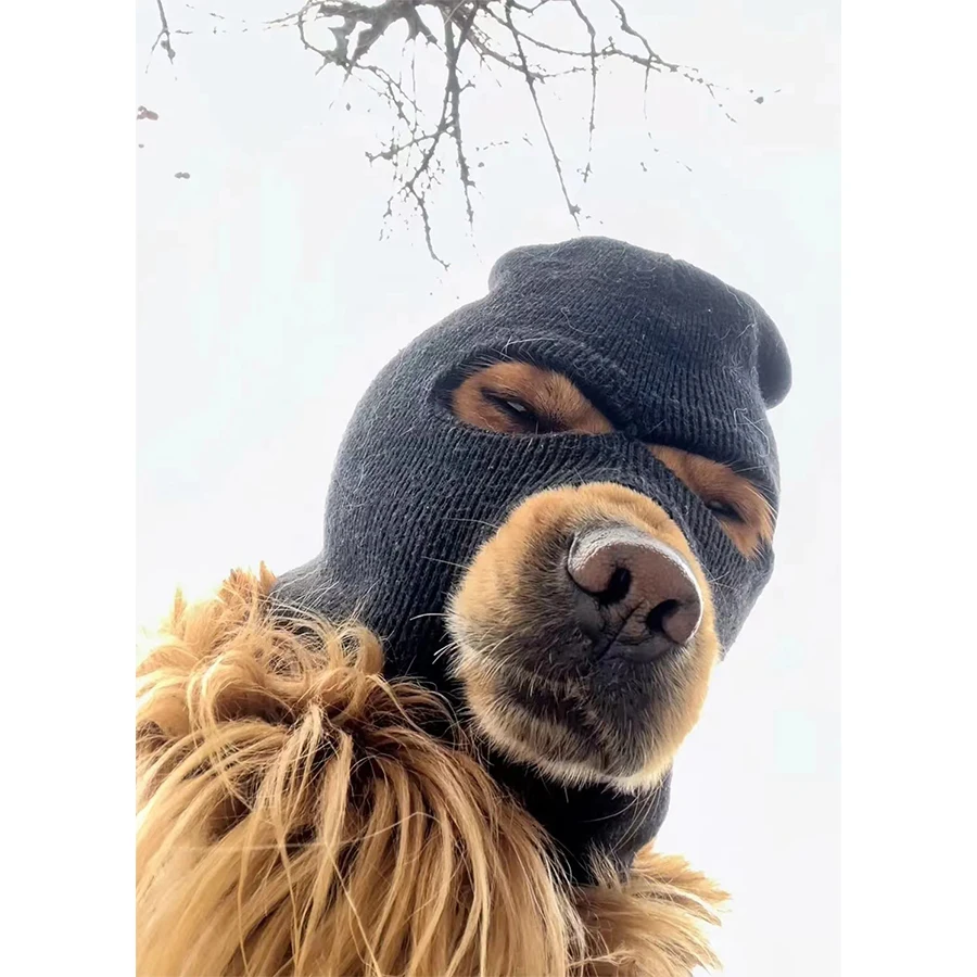 Outdoor-Travel-Windproof-Mask-Cap-Dog-Costumes-for-Large-Dogs-Ski-Mask-Dog-Hats-for-Dogs.jpg