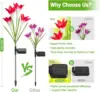 Outdoor Solar Lights Solar Garden Lawn Lights Bigger Lily Flowers landscape lighting for Outdoor Patio Yard Garden Decoration 4